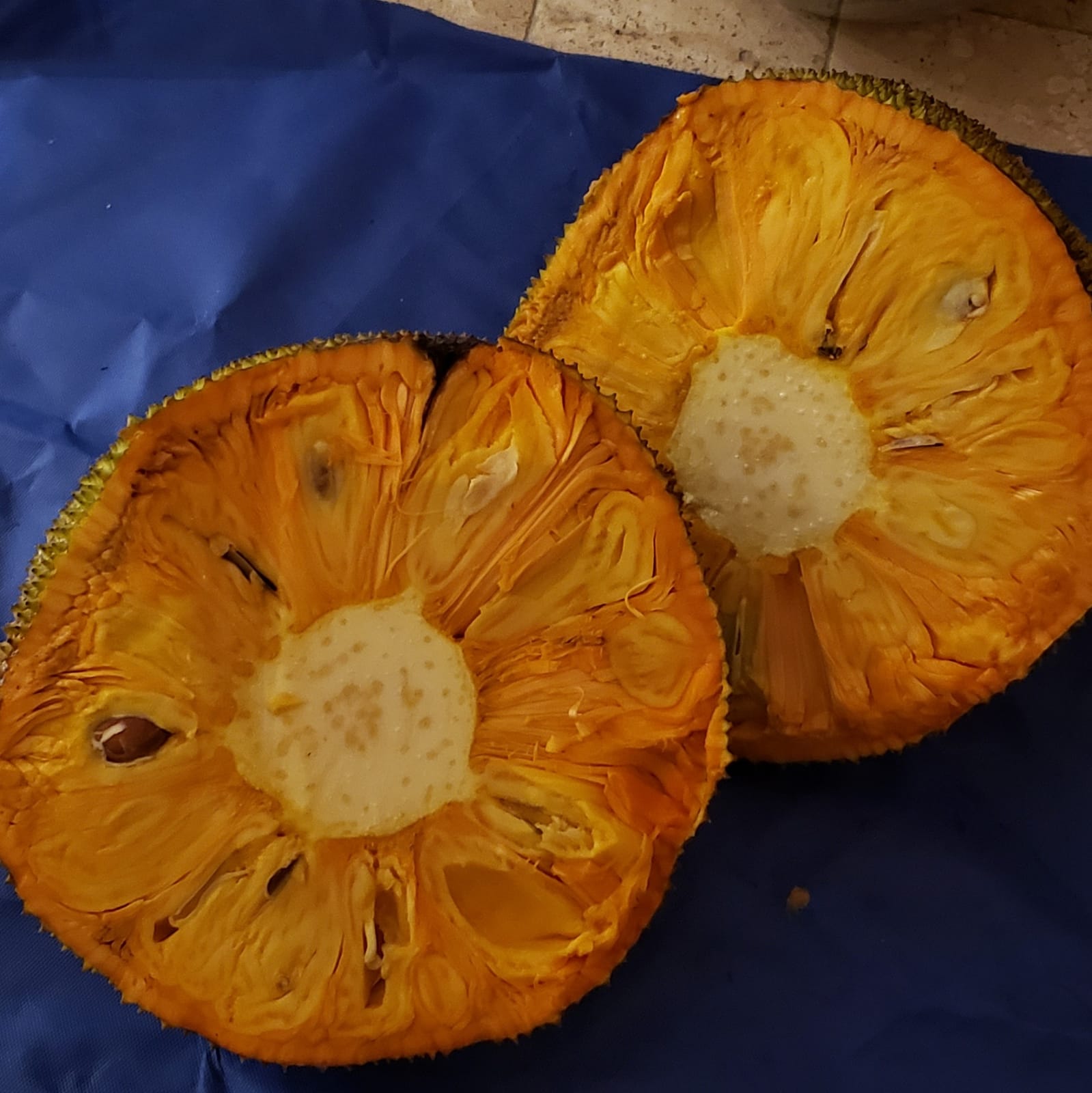 Cantaloupe, orange, semi soft