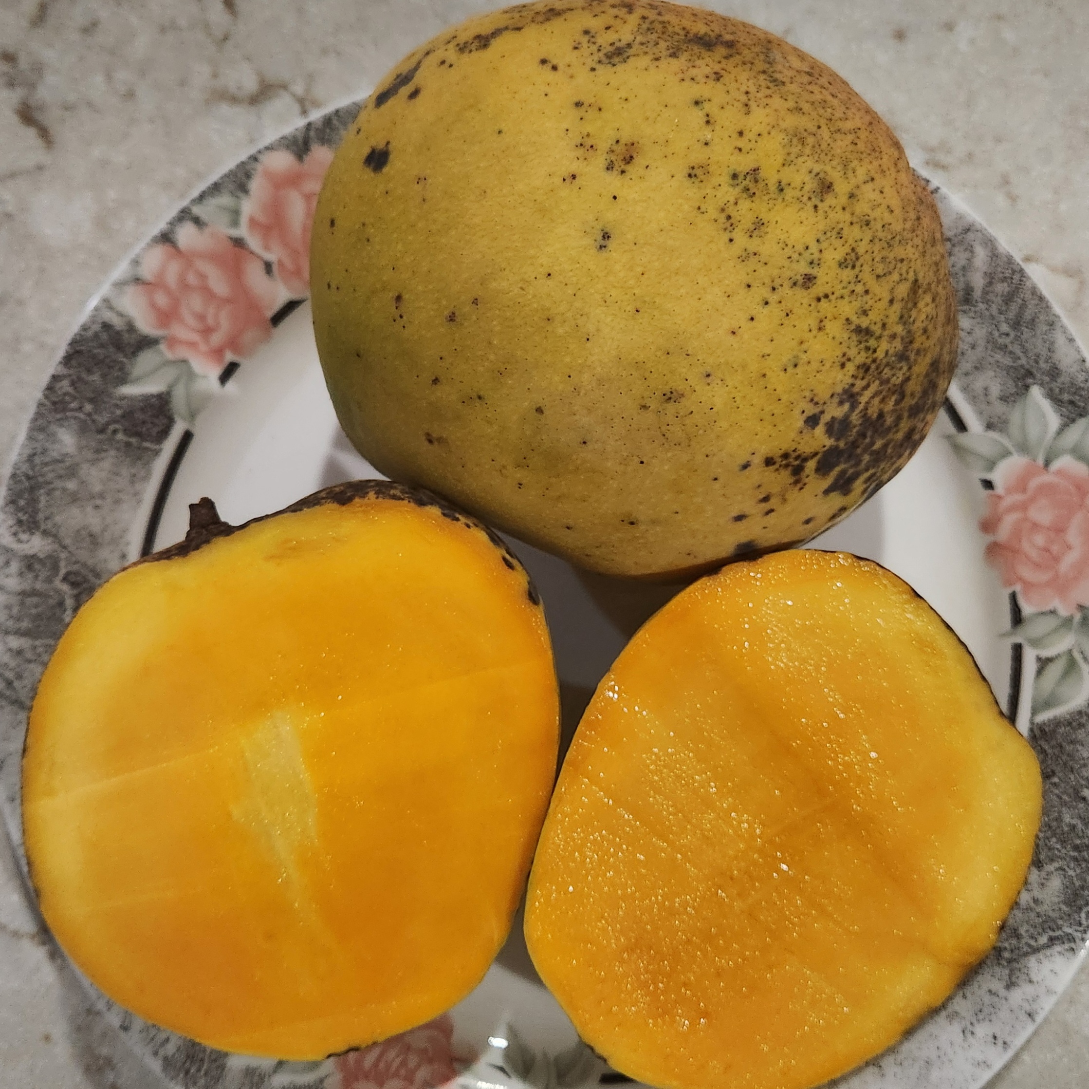 Fruit Variety Picture